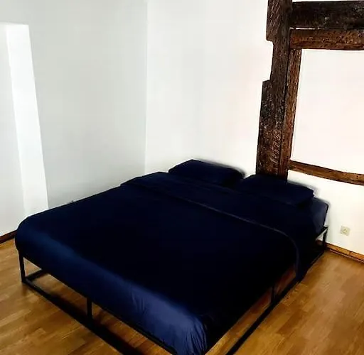 Maison A Colombages Au Coeur Du Centre Apartamento Colmar